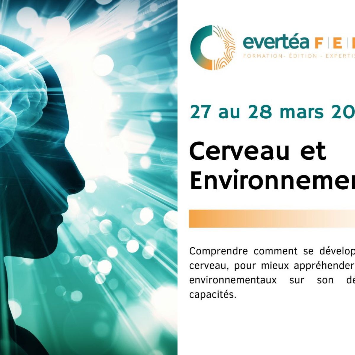 Cerveau et Environnement