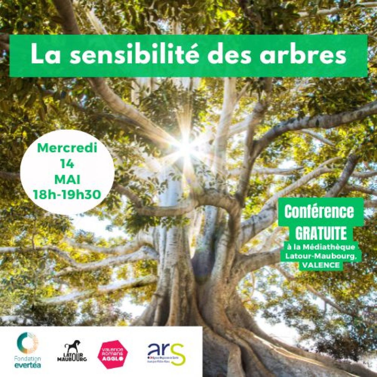 Conférence - La sensibilité des arbres
