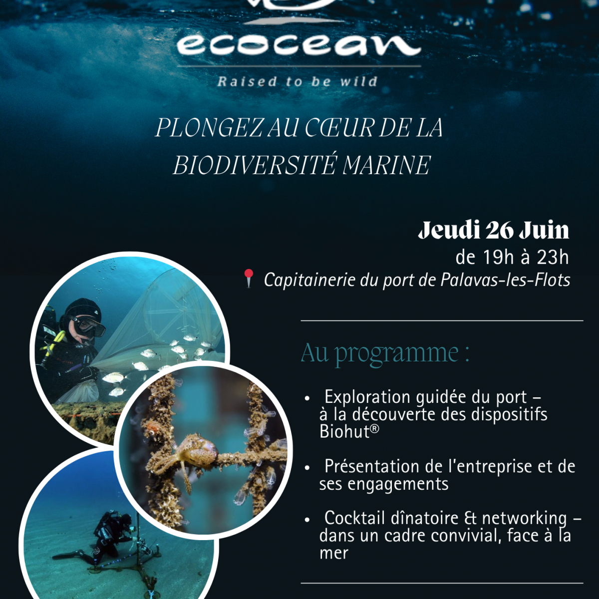 Soirée DCF - Plongez dans l'univers d'ECOCEAN