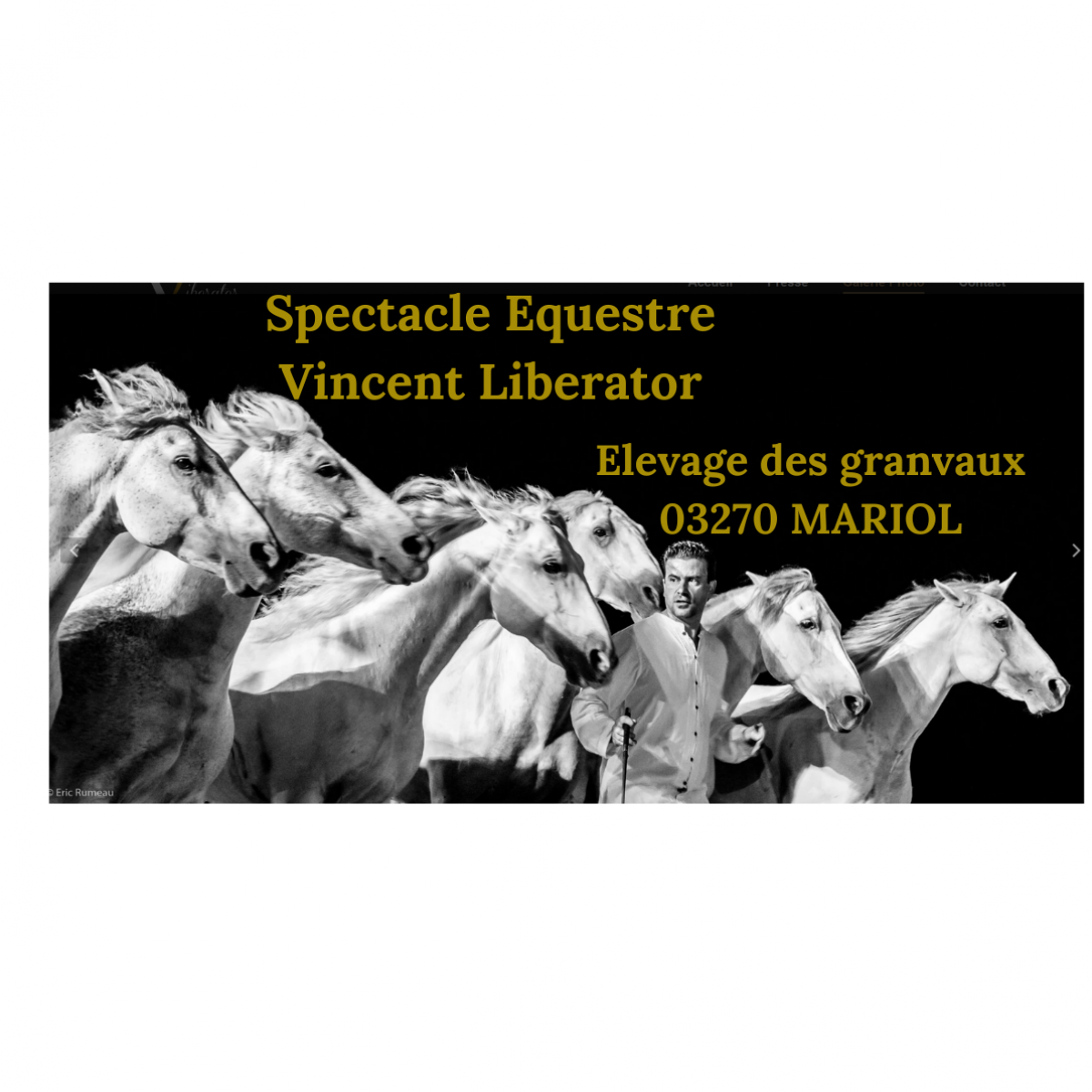 Dîner Spectacle Equestre Vincent Liberator