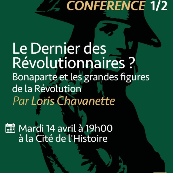 Napoléon par les peintres, par David Chanteranne