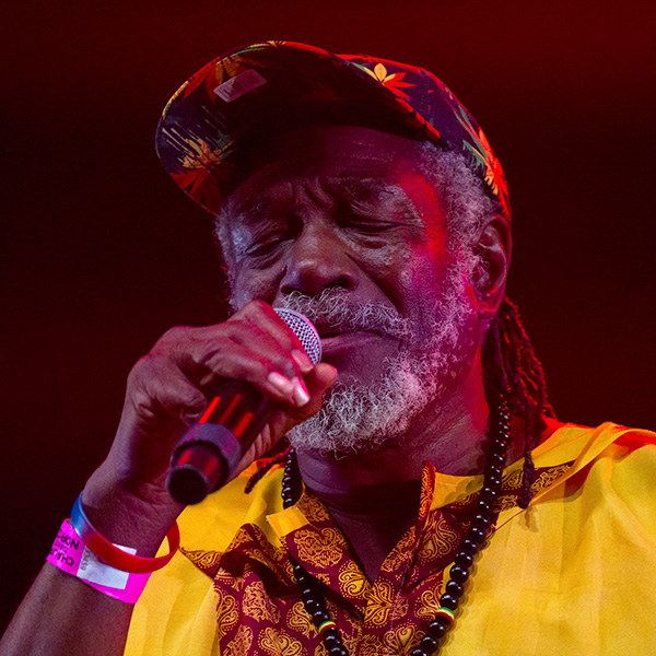HORACE ANDY + Guest